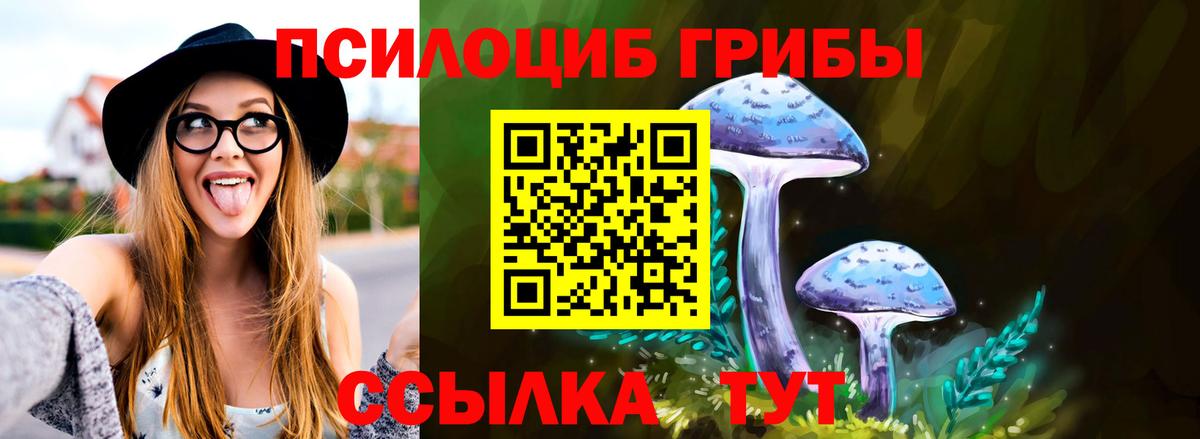Псилоцибиновые грибы Cubensis Чита